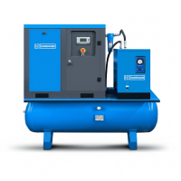 Винтовой компрессор Hansmann RSA 5.5-8-500DR IP23 в #REGION_NAME_DECLINE_PP# | DILEKS.RU