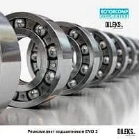 Анонс фото Ремкомплект подшипников ROTORCOMP EVO3 162133